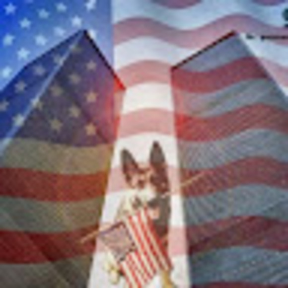 Meet your Posher, Scotty - Picture 1 of 1